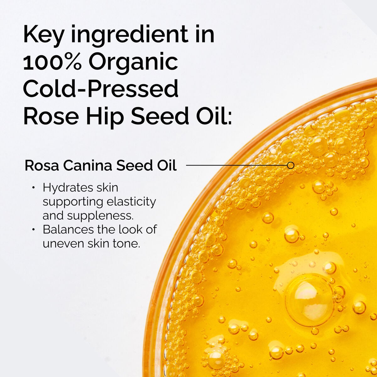 100-organic-cold-pressed-rose-hip-seed-oil-i6 FY25-D41247-ORD-Web-PDP-100-Rose-Hip-Oil-1x1-EN-2.jpg