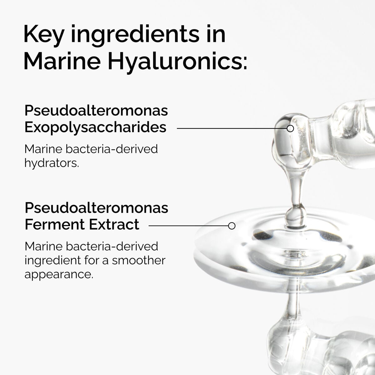 marine-hyaluronics-h3 FY25-D41247-ORD-Web-PDP-Marine-Hya-1x1-EN-2a.jpg