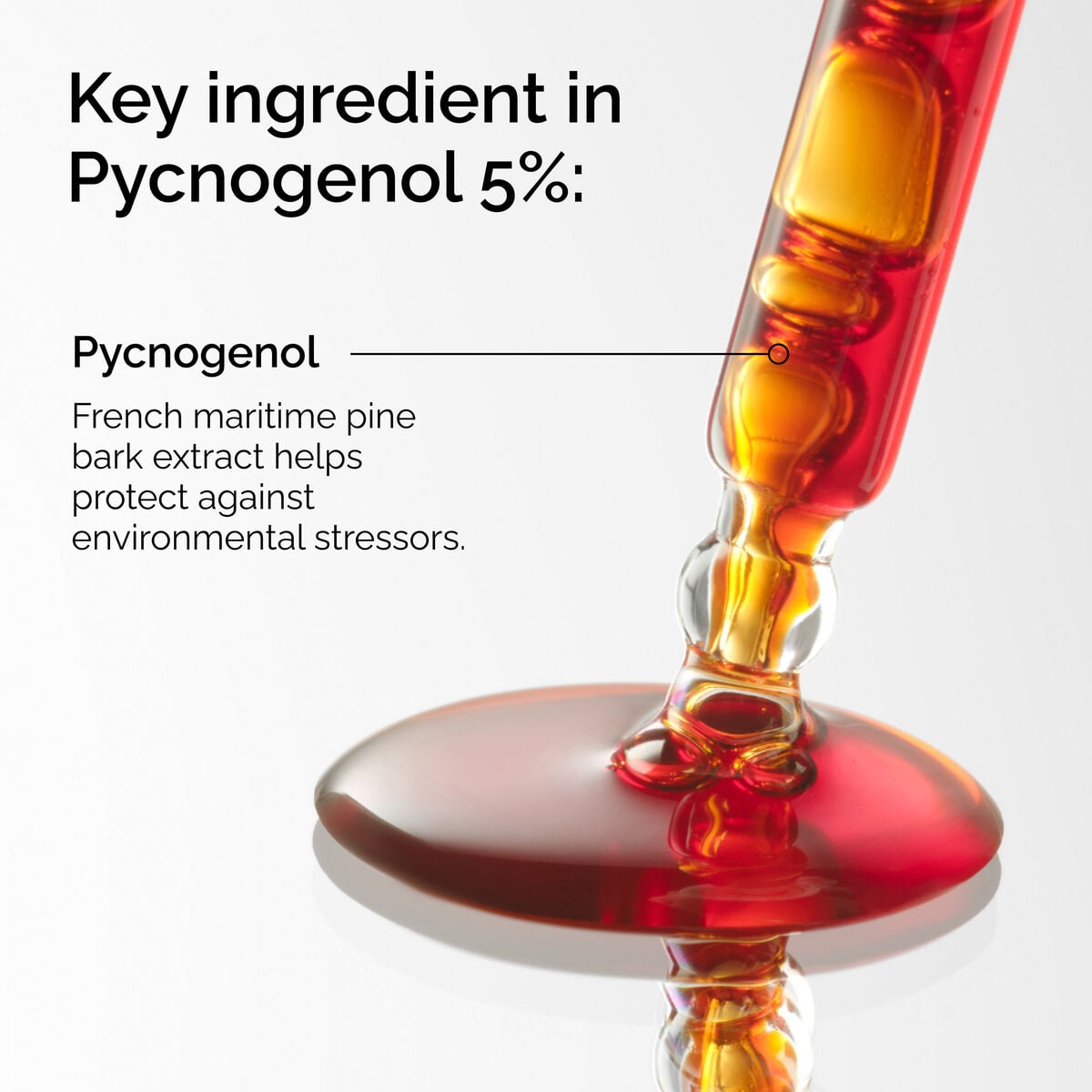 pycnogenol-5-a6 FY25-D41247-ORD-Web-PDP-Pyc-5pct-1x1-EN-2a.jpg