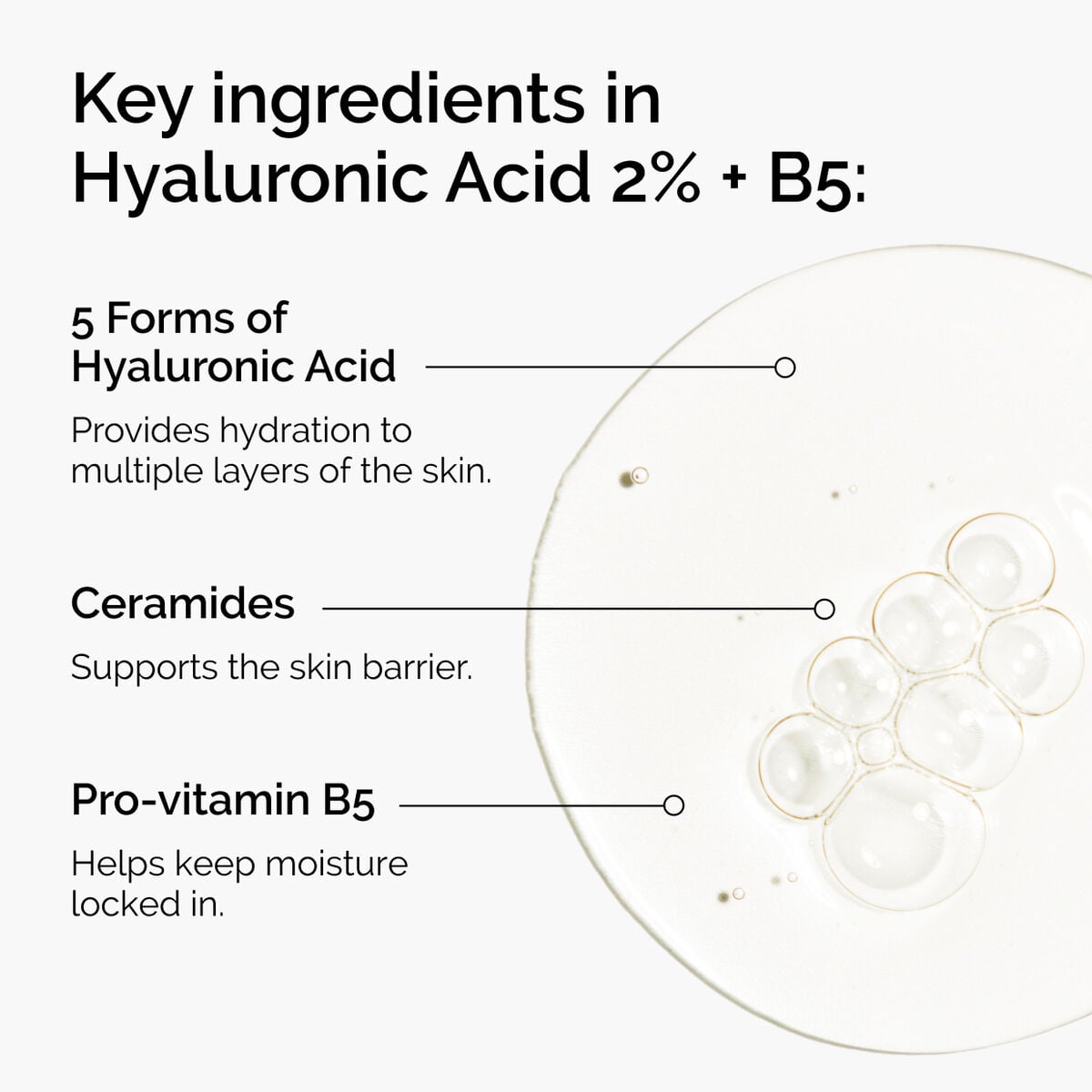 hyaluronic-acid-2-b5-with-ceramides-f6 ord-hyaluronic-acid-2pct-b5-hydrating-serum-ingredients-graphic.jpg