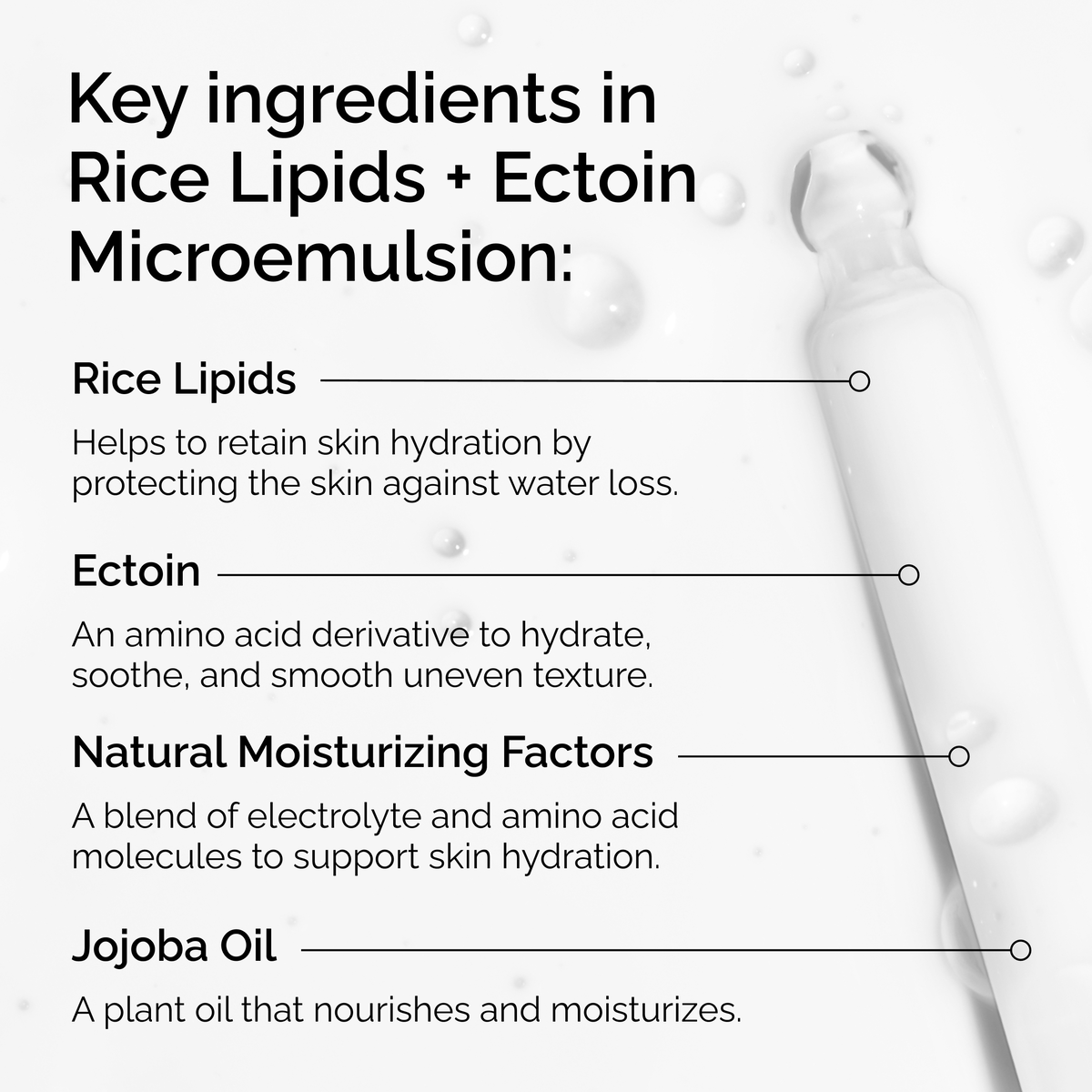 rice-lipids-ectoin-microemulsion-p0 ord-rice-lipids-ectoin-microemulsion-key-ingredients.png