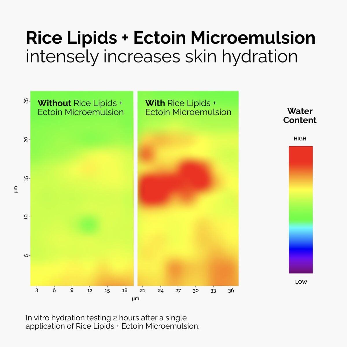 rice-lipids-ectoin-microemulsion-p0 ord-rice-lipids-ectoin-microemulsion-thermal-before-after.jpg